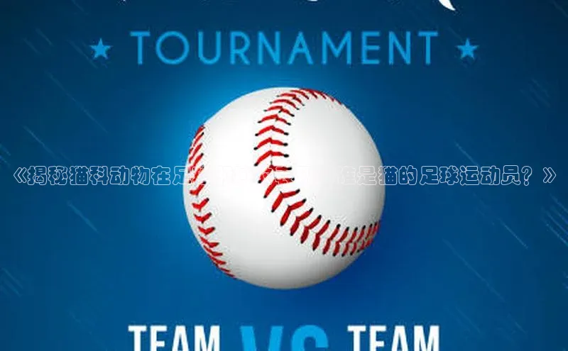 焦点注册入口美团《揭秘猫科动物在足球领域的表现：谁是猫的足球运动员？》